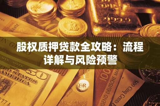 武汉股权质押贷款全攻略：流程详解与风险预警