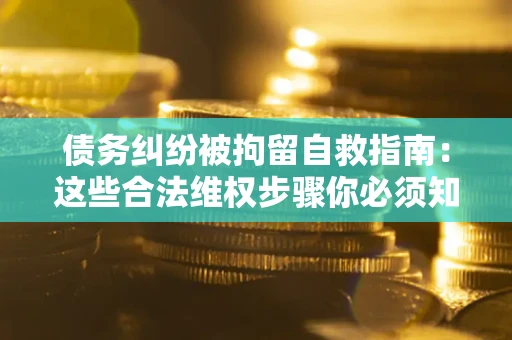 武汉债务纠纷被拘留自救指南：这些合法维权步骤你必须知道！