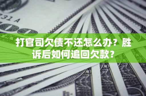 武汉打官司欠债不还怎么办？胜诉后如何追回欠款？