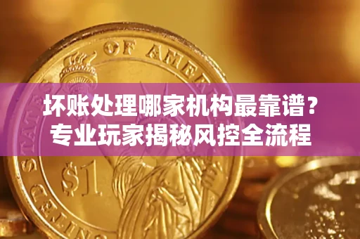 武汉坏账处理哪家机构最靠谱？专业玩家揭秘风控全流程