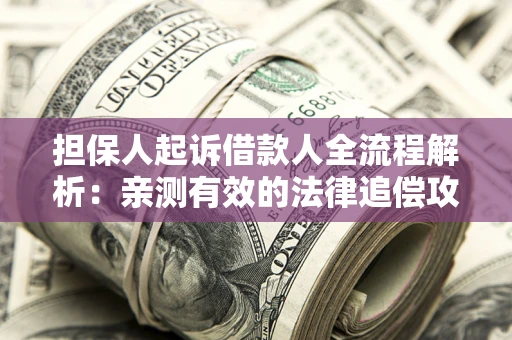 武汉担保人起诉借款人全流程解析：亲测有效的法律追偿攻略
