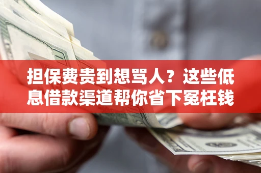 武汉担保费贵到想骂人？这些低息借款渠道帮你省下冤枉钱