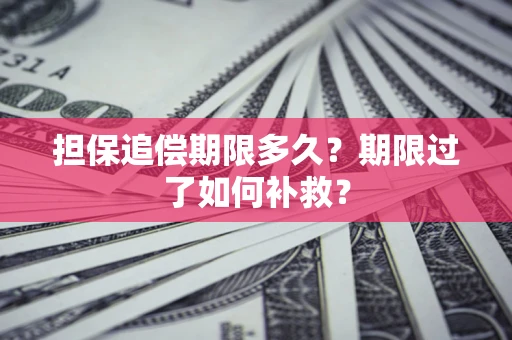 武汉担保追偿期限多久？期限过了如何补救？