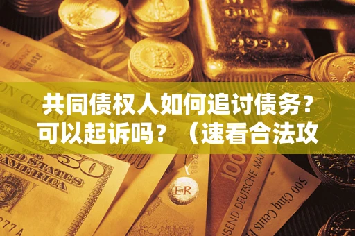 武汉共同债权人如何追讨债务？可以起诉吗？（速看合法攻略）