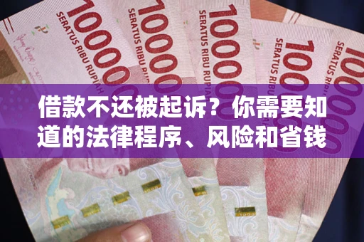 武汉借款不还被起诉？你需要知道的法律程序、风险和省钱技巧