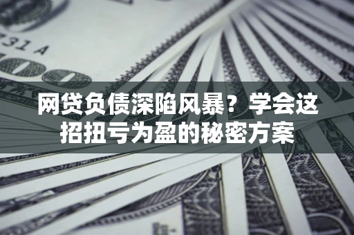 武汉网贷负债深陷风暴？学会这招扭亏为盈的秘密方案